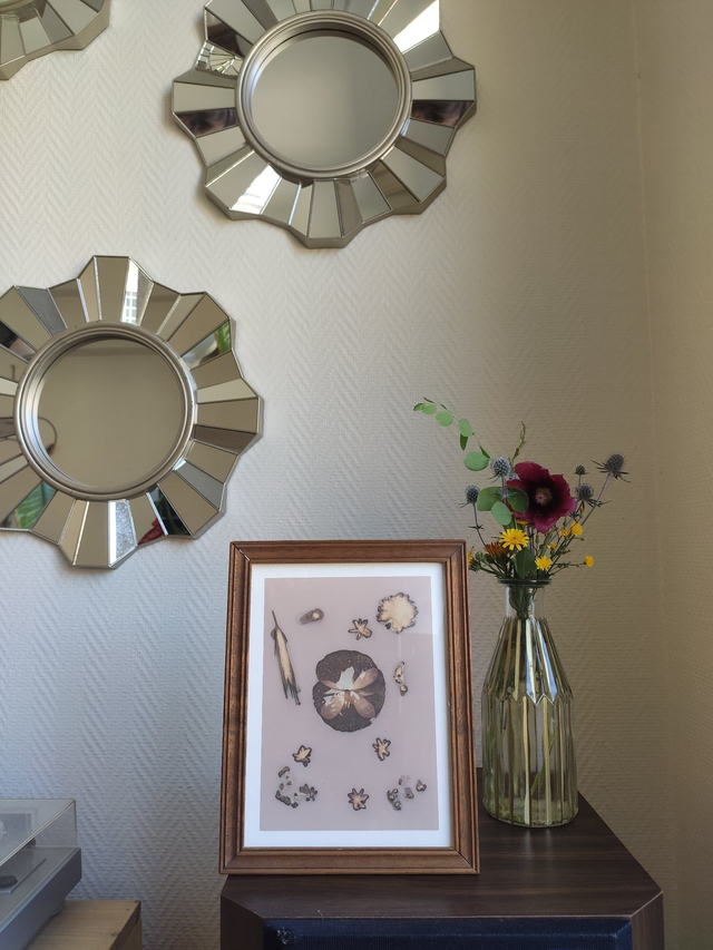 Bouquet d'été – Coquelicot et lampsane commune