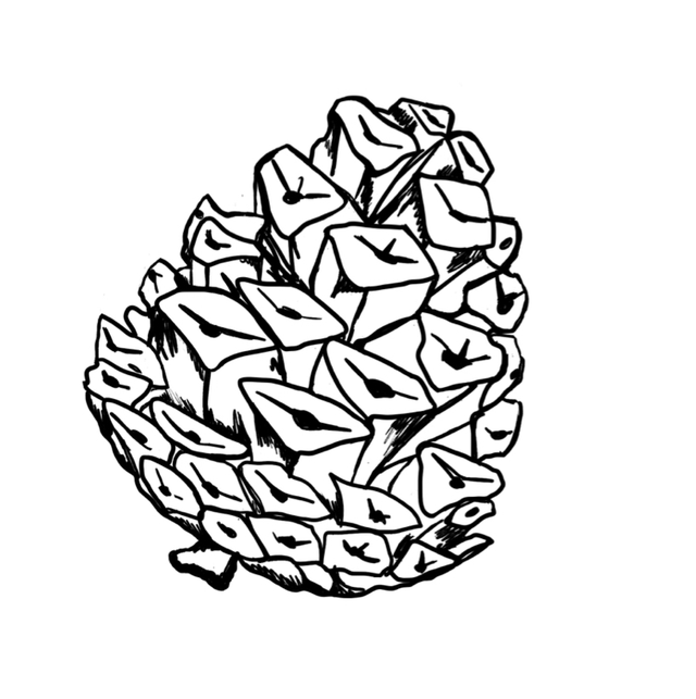 Mini Stempel Tannzapfen