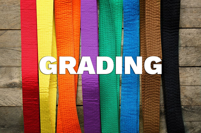 Grading 4 children