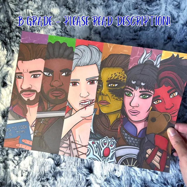 Baldur's Gate 3 Companions A4 Print B GRADE