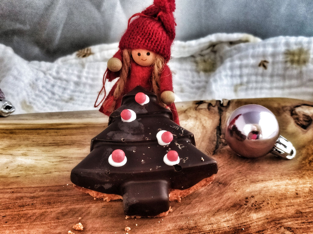 1 Sapin noisette choco