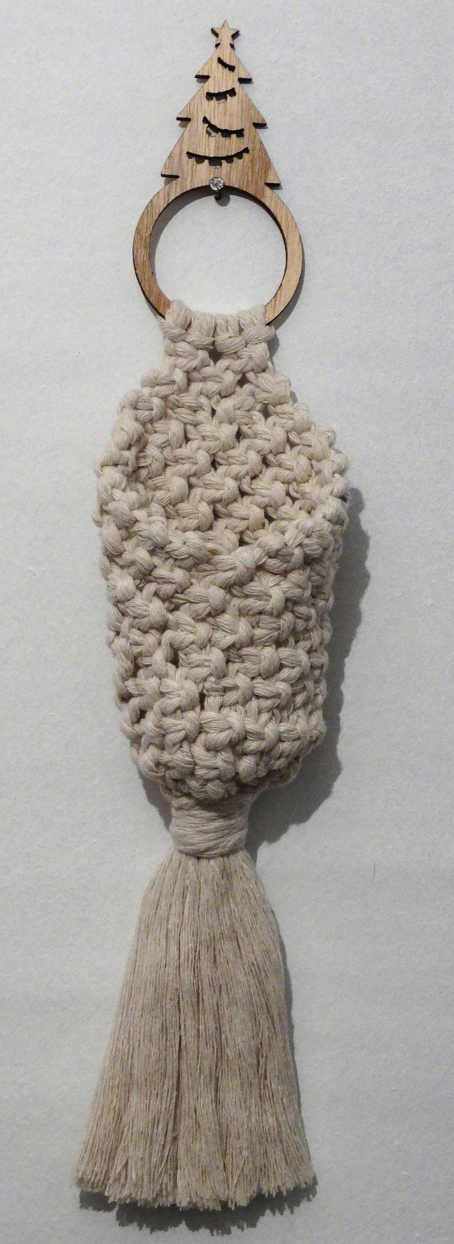 SUSPENSION PLANTE aérienne