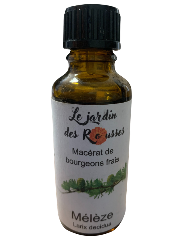 MELEZE -  Macérât glycériné de bourgeons Flacon de 30 ml 