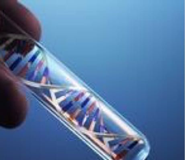 Interprétation Génétique 