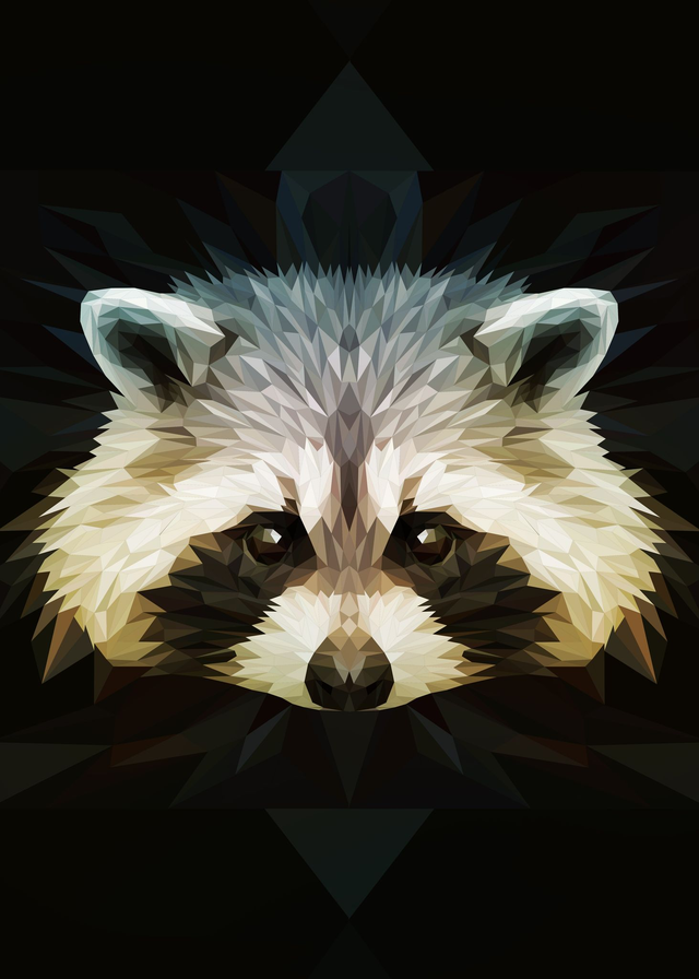 Poster Raton laveur low poly