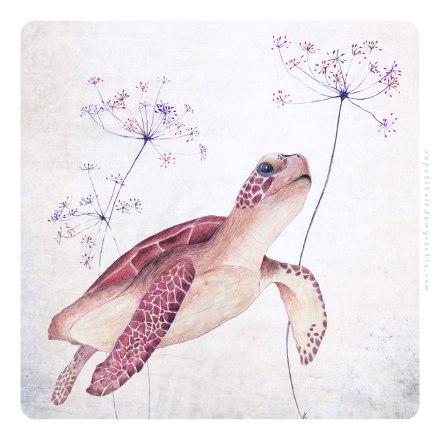 Carte postale Tortue de mer