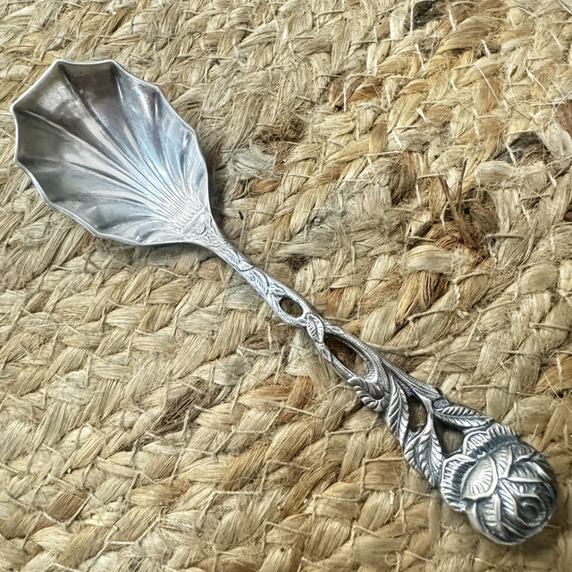 Rose cuillère coquillage 