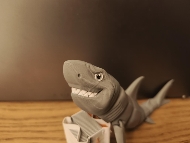 Bruce the Great White Shark