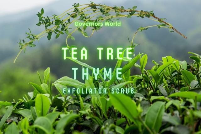 Tea Tree &amp; Thyme Sugar Scrub