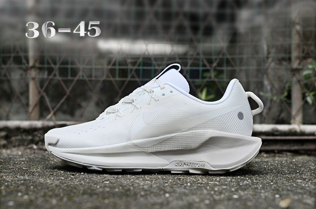 Nike Pegasus Trail 5 (Vendu sans la boîte )