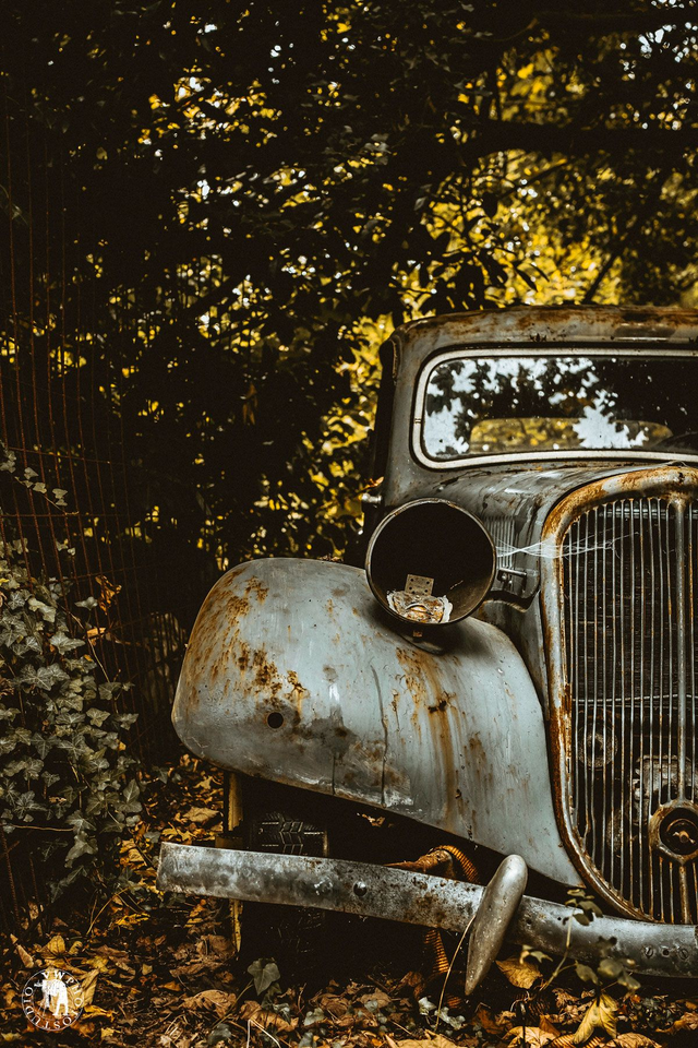 "Regards et jeux d'a-Traction" Tirage Fine Art sur Alu-Dibond 30x45cm