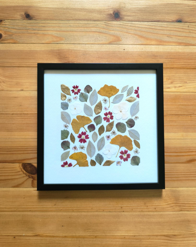 Herbier d'Art Mosaïque