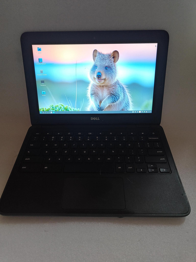 Käytetty Dell Chromebook 11 3180 11.6"