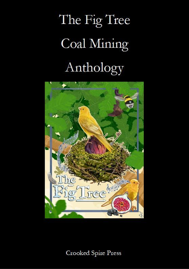 The Fig Tree Coal Anthology