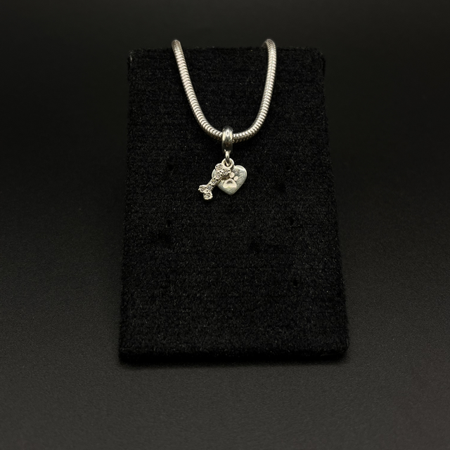 Berloque Vínculo Pet