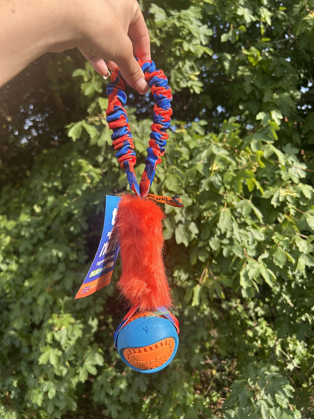 Pocket PowerBall Fauxtastic