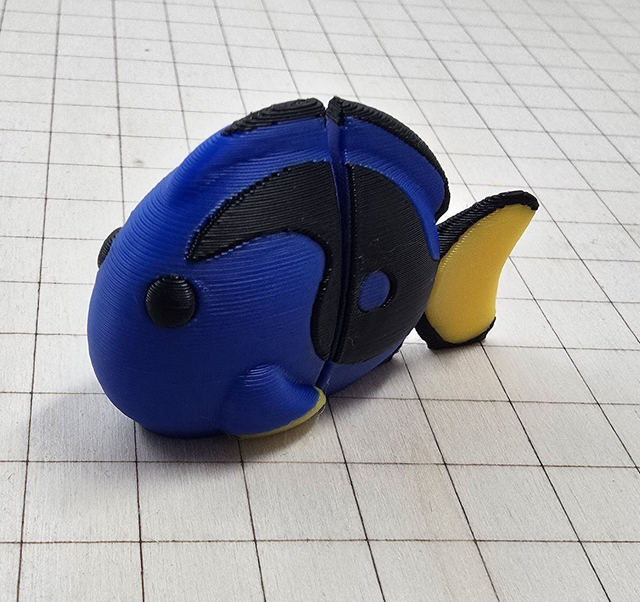 Minizz poisson chirurgien