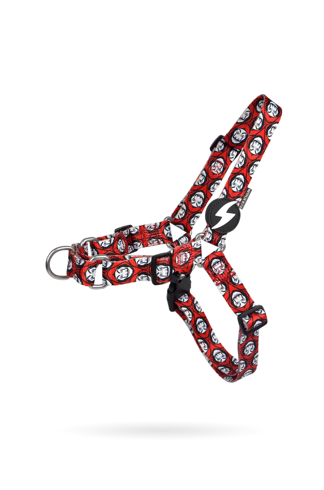 LCDP Mask Front harness