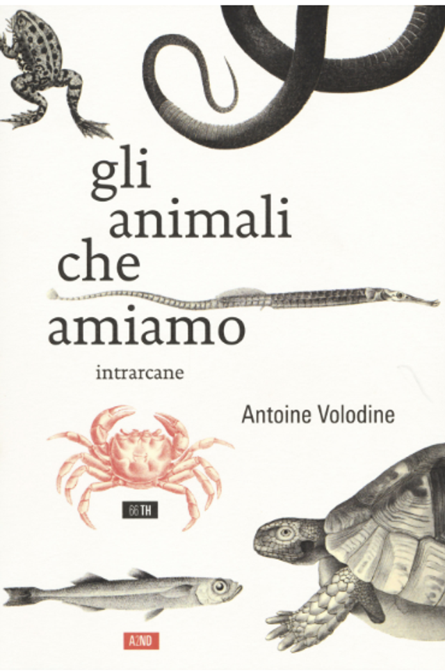 Volodine Antoine - Gli animali che amiamo