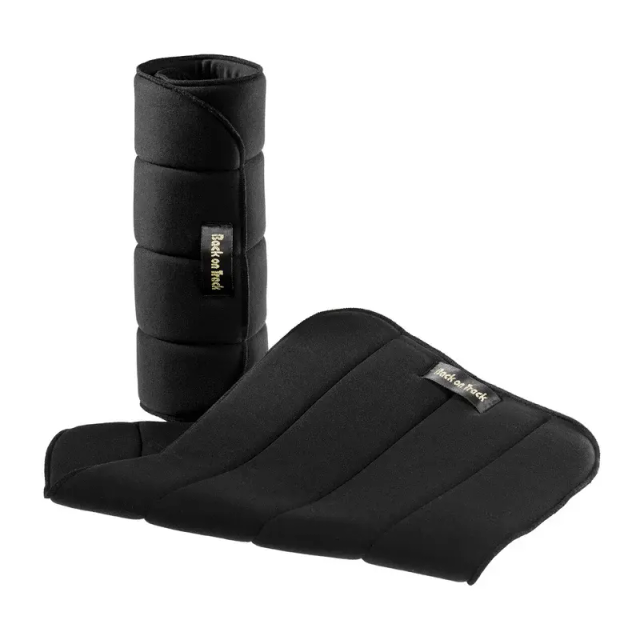 Sous-bandes de travail BACK ON TRACK