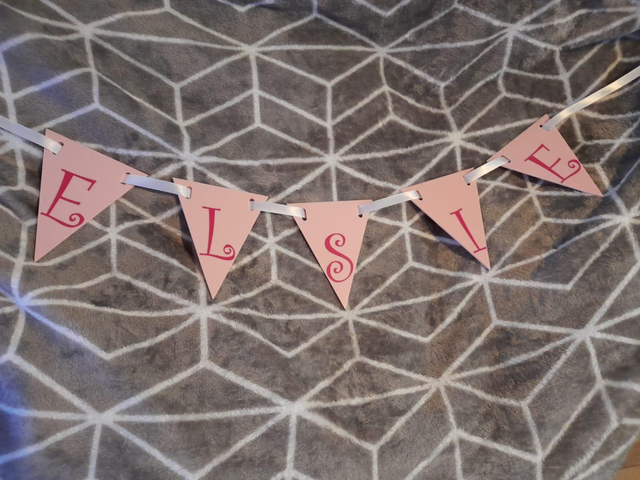 Bunting (Flag)