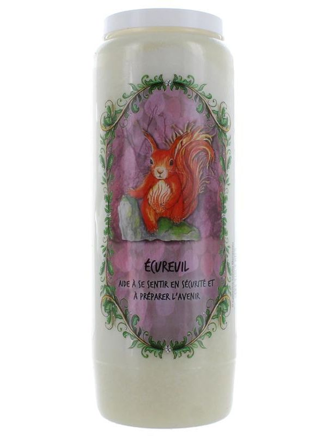 Neuvaine animal totem - Ecureuil