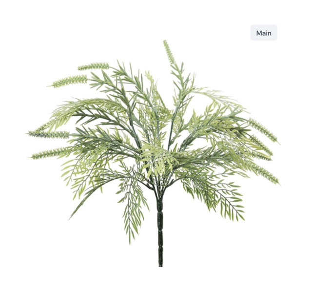 Dusted Tassel Fern