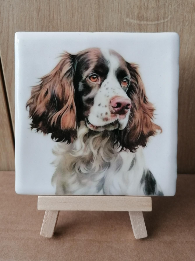 Handmade Display Tiles *Read description 