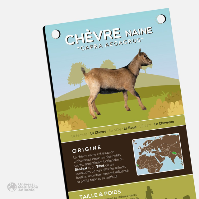Panneau pédagogique - "La Chèvre"
