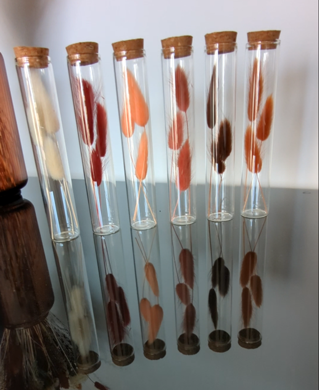 Fioles en verre - Lot à composer (Lagurus)