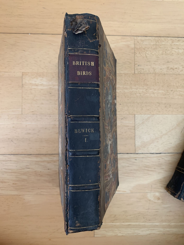 Antiquarian Book Set 1861 A History of British Birds Thomas Bewick Volumes 1 & 2