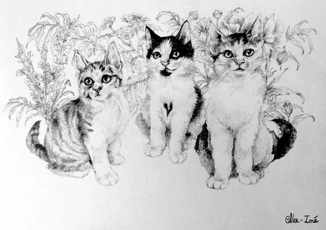 Format A5, trois animaux, noir et blanc _ Commande Originaux - Dessin naturaliste