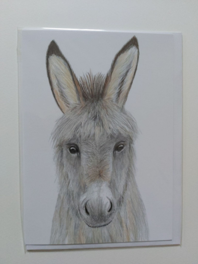 Daisy the Donkey Giclee Print