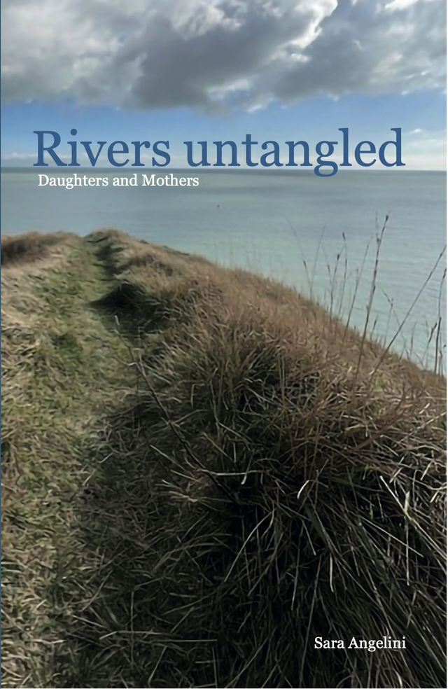 Rivers Untangled 