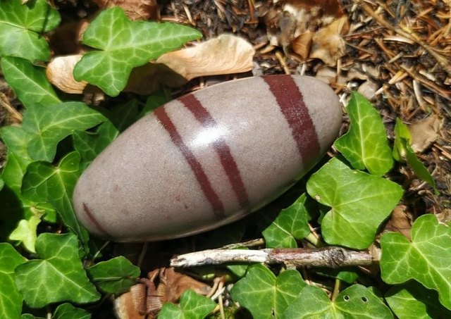 Pierre Shiva Lingam