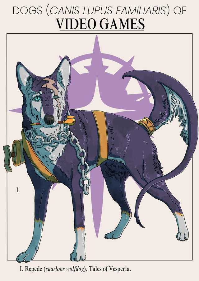 Carte postale - Repede