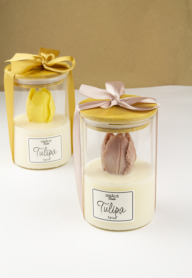Vela Tulipa