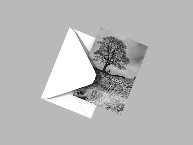 Guidance, Sycamore Gap