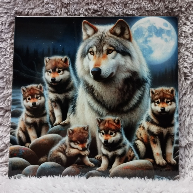 Louve blanche et louveteaux dans le ruisseau