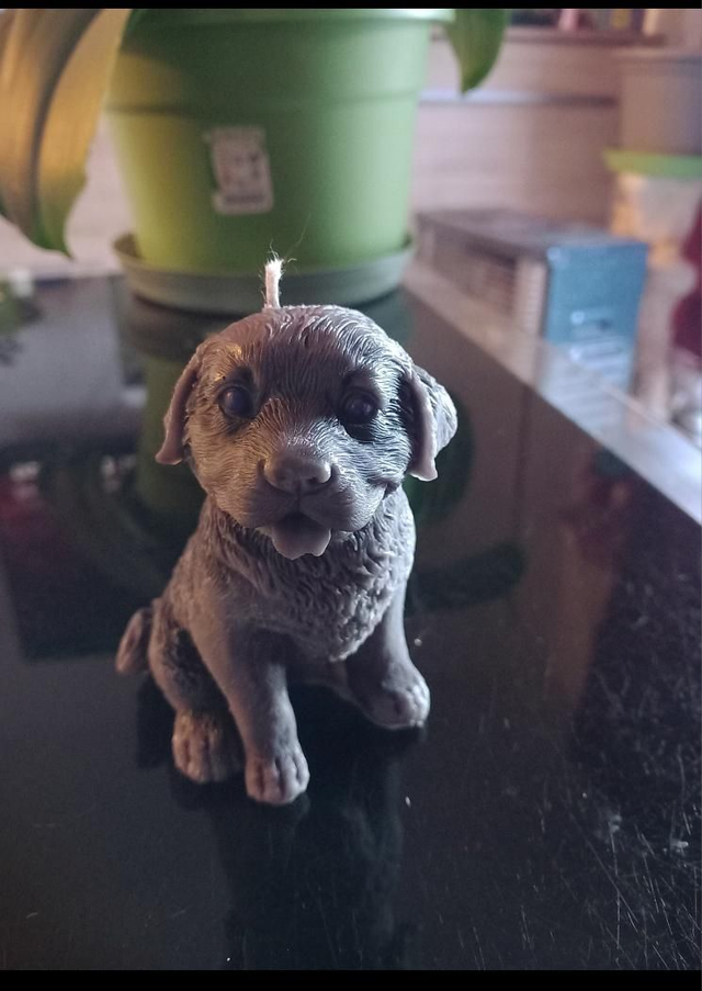 BeaCrea au plaisir d'offrir, les bougies fondantes, vous propose cette magnifique bougie parfumé  chien  parfums
Prix : 8€