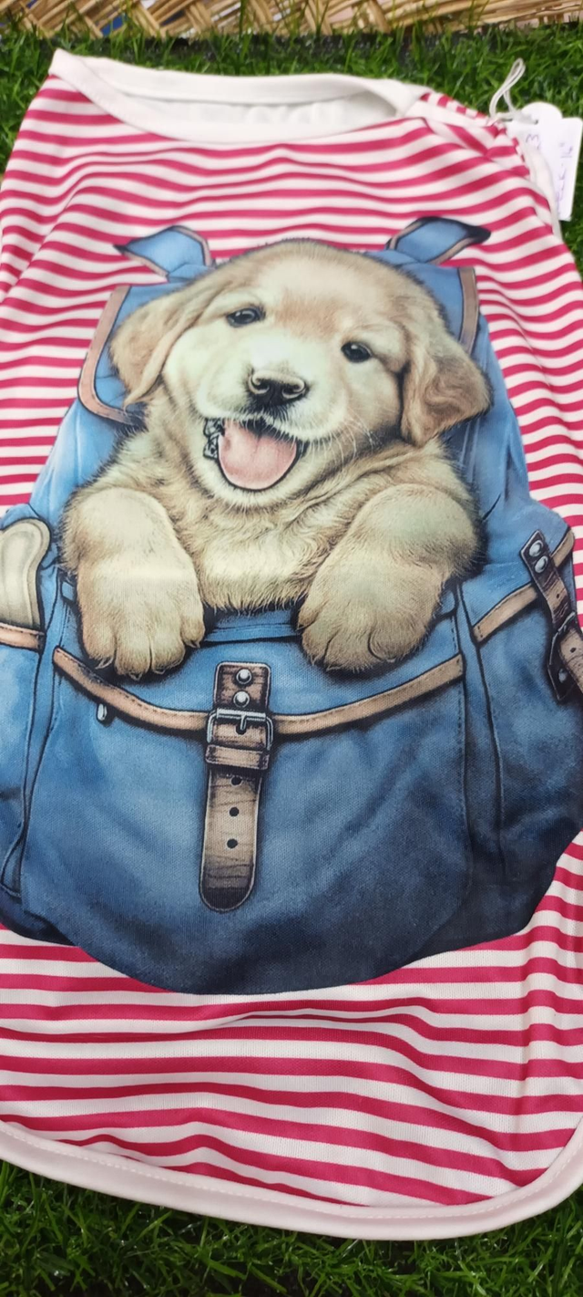 Puppy in pouch sun vest 