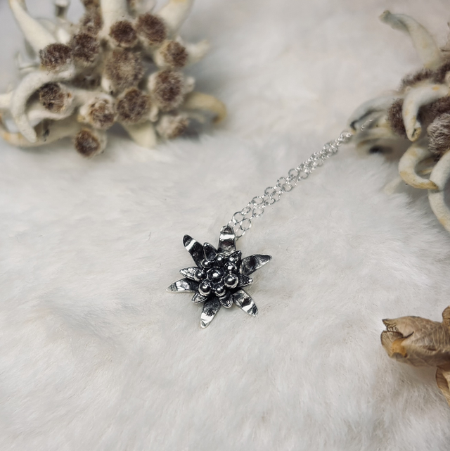 L’éternelle Alpine