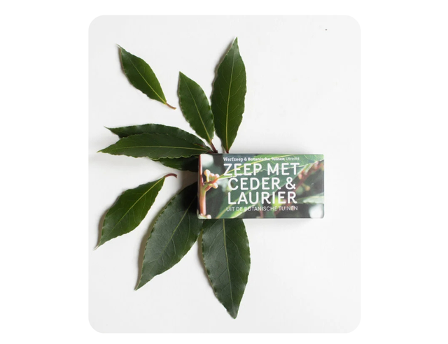 [Werfzeep] Werfzeep - Botanische tuinen - Ceder & Laurier