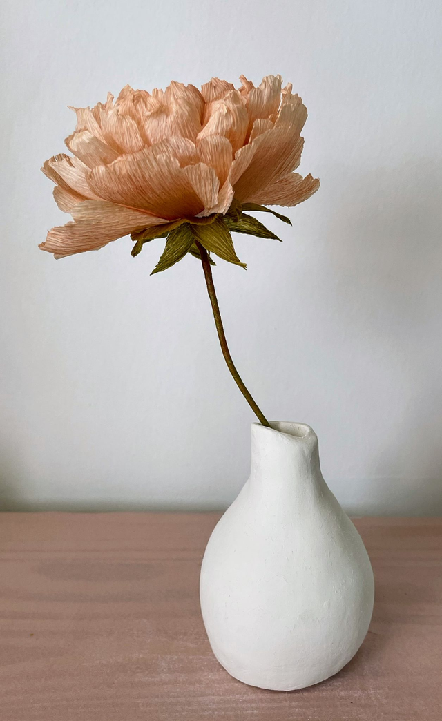 Pivoine "Almaé" avec son vase artisanal offert