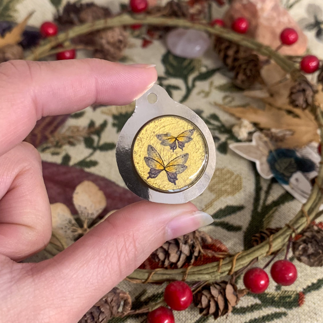 Broches des Fées - Fairy Irisaë