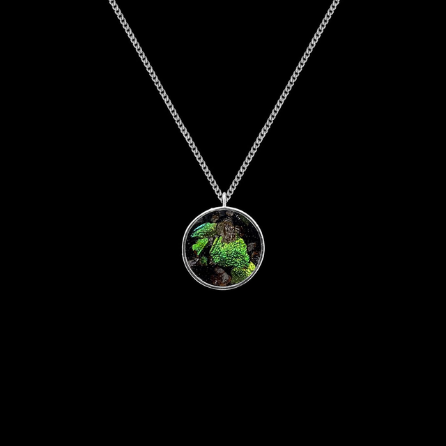 Pendentif Médaille - Sternocera | Vert boréal 4/15