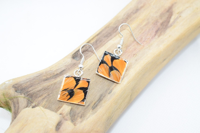 Boucles d'oreilles faisan vénéré