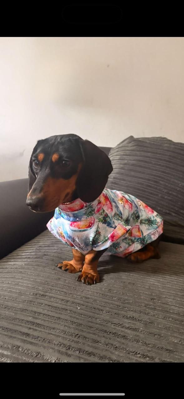 Christmas jersey top