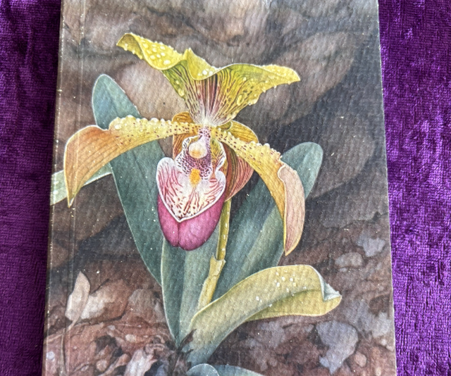 Lined Note Pad Orchid Yelloe