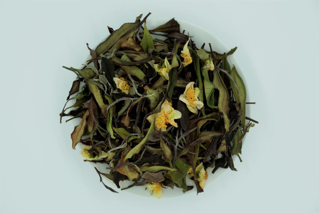 Dartmoor White Tea with Autumn Tea Blossom  15g